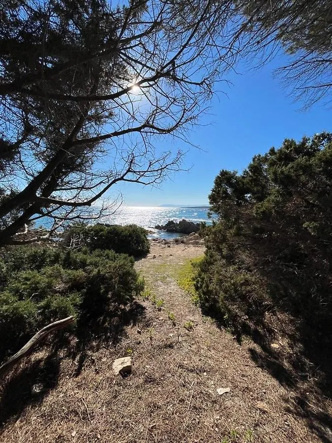 Da Zio Salvo, Esclusivo Appartamento Con Veranda, A Due Passi Dal Mare! オロゼーイ 0*,  イタリア