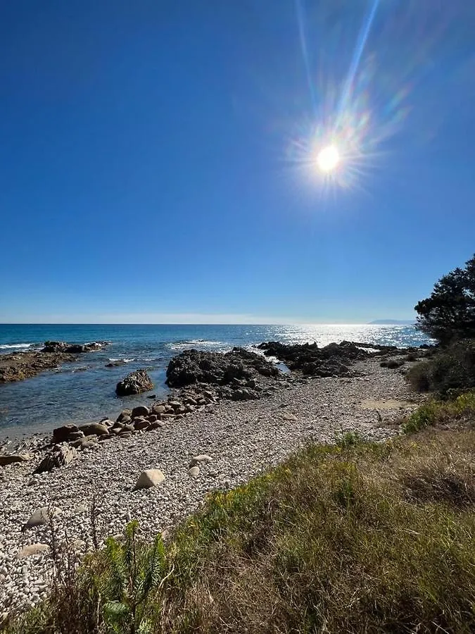 Apartment Da Zio Salvo, Esclusivo Appartamento Con Veranda, A Due Passi Dal Mare! Orosei Italy