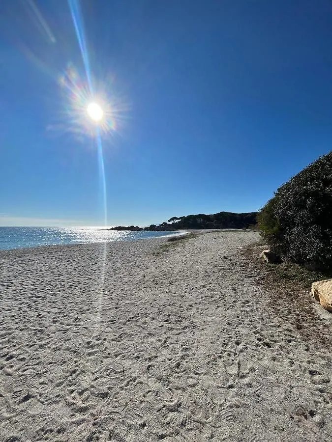 Apartment Da Zio Salvo, Esclusivo Appartamento Con Veranda, A Due Passi Dal Mare! Orosei